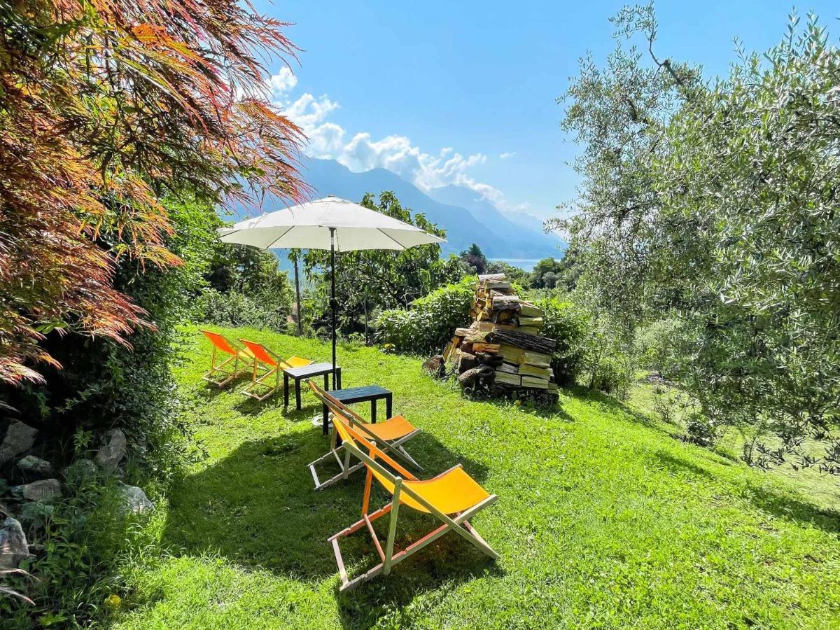 Breva Loft Tra Gli Ulivi Ed Il Lago Bellagio Buitenkant foto