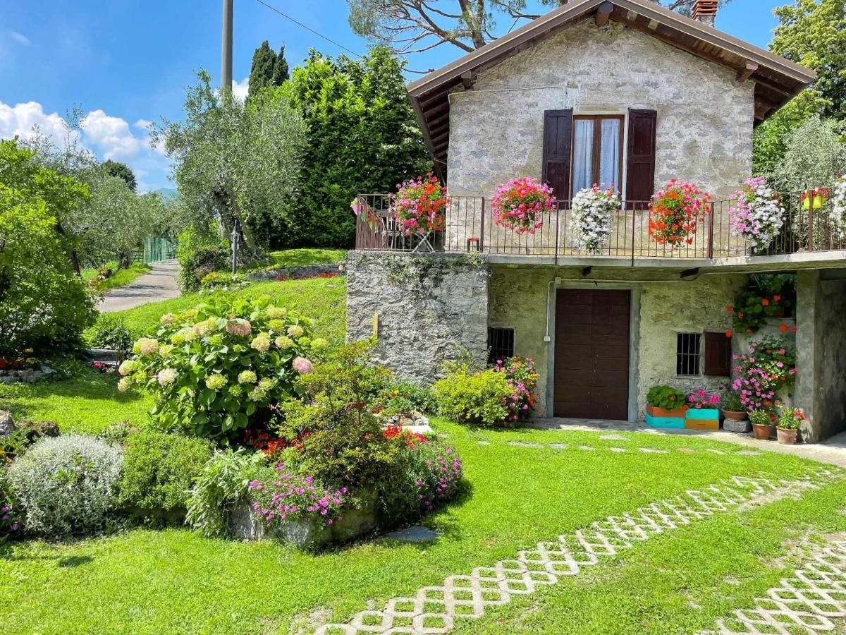 Breva Loft Tra Gli Ulivi Ed Il Lago Bellagio Buitenkant foto