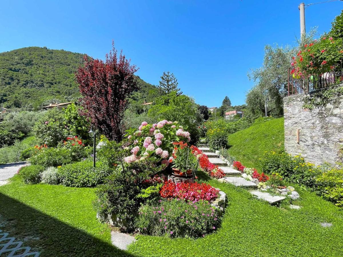 Breva Loft Tra Gli Ulivi Ed Il Lago Bellagio Buitenkant foto