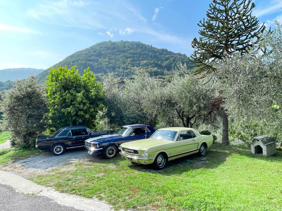 Breva Loft Tra Gli Ulivi Ed Il Lago Bellagio Buitenkant foto
